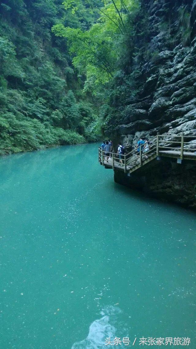 张家界旅游攻略天门山二日游费用,张家界大峡谷玻璃桥自由行