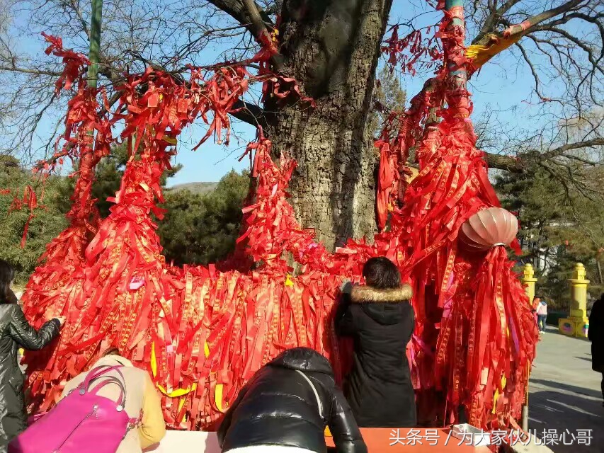 北京西山八大处公园,北京西山八大处寺庙