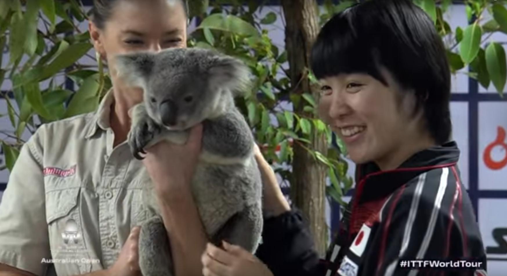 澳洲公开赛乒乓球丁宁与孙颖莎,澳洲公开赛陈梦与王曼昱比赛