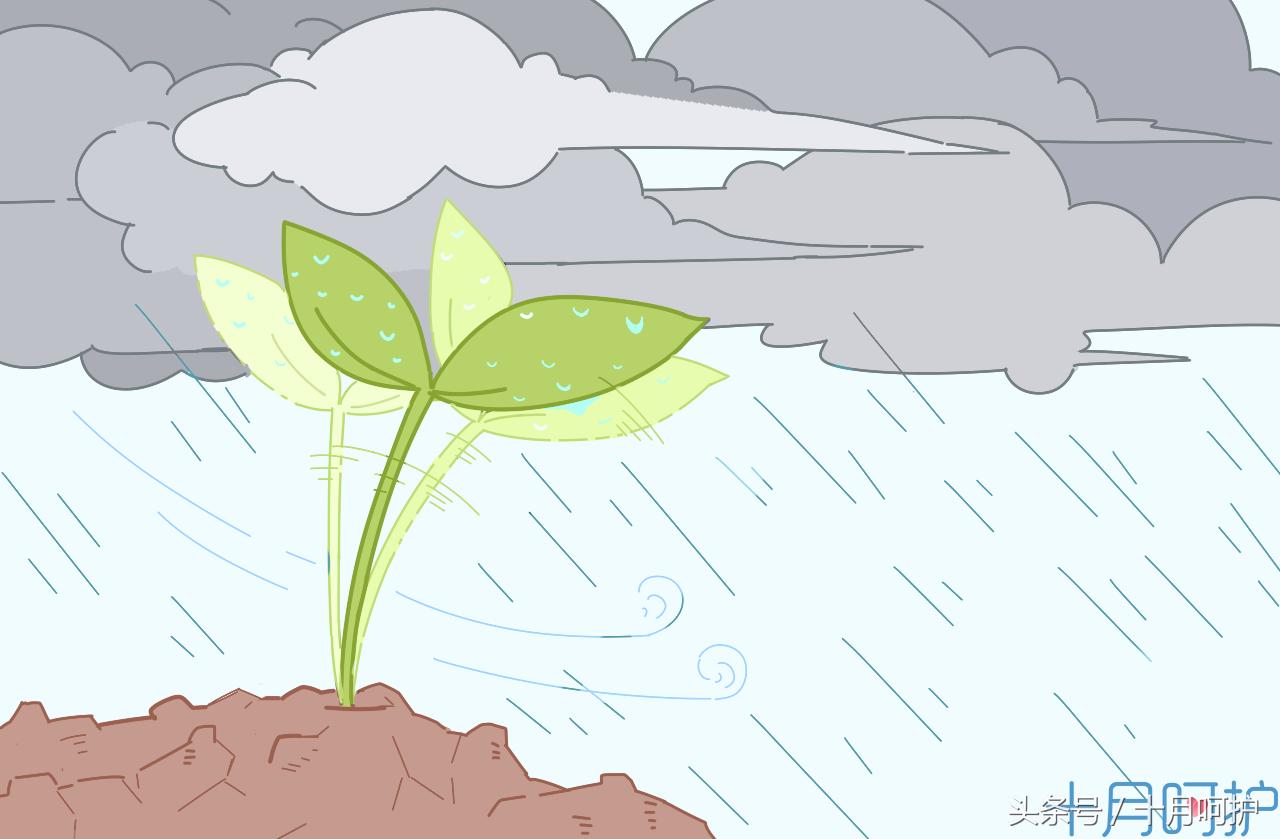 做孕妇的焦虑,孕妇做什么事情容易流产