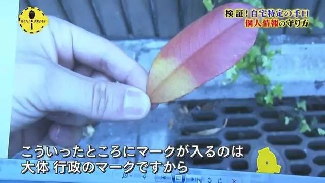 日本女子在网上发照片,日本女星晒自拍