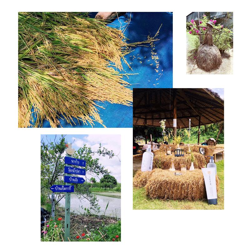 泰国旅游攻略必去景点曼谷,泰国曼谷男性旅游攻略