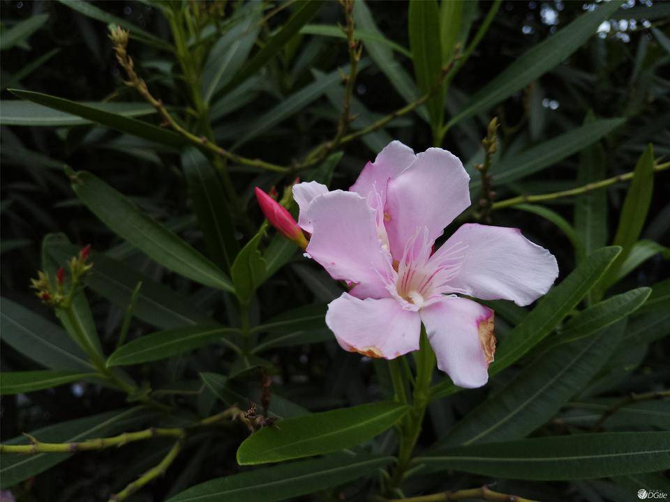 一个男生用美图手机是怎样的体验?