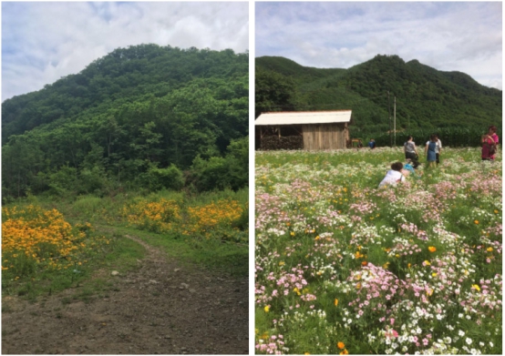 沈阳附近旅游攻略必玩的景点最新,沈阳旅游景点免门票的有哪些地方