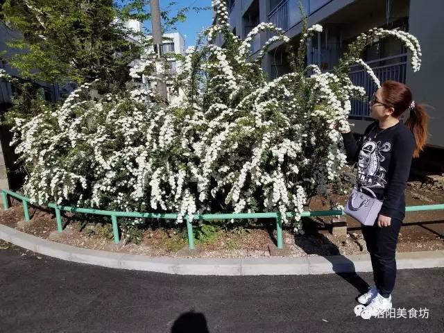 东京京都大阪奈良攻略8天,京都大阪神户奈良自由行第2版