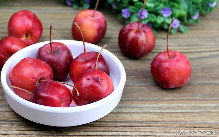 缅甸特产吃过3种算你牛？台州土特产出名啦看看有没有你老家的？网购的土特产都是家乡的味道？忻州特产？