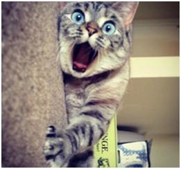 没带钱包买单,没带钱买东西