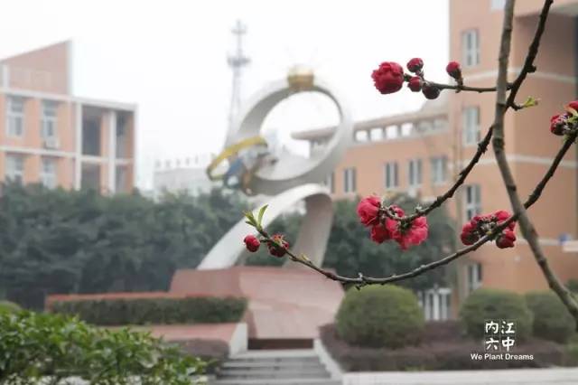 想穿校服,内江六中校服