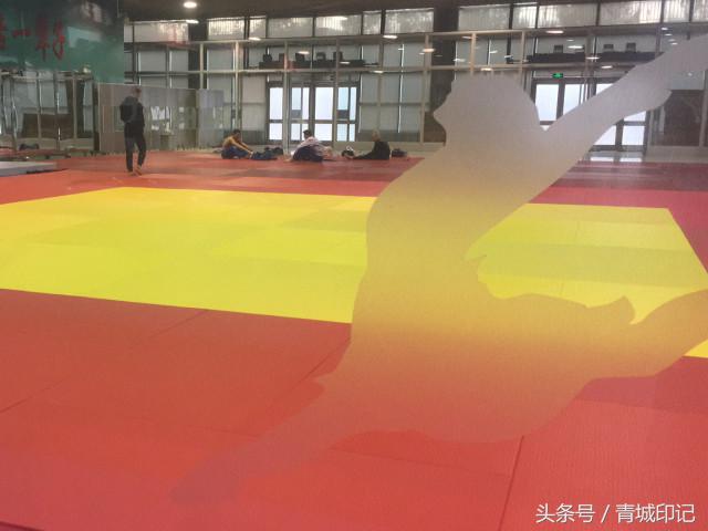 呼和浩特柔道大奖赛,全国柔道公开赛