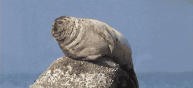 饭后胃胀打嗝是怎么回事,饭后腹胀打嗝是什么原因