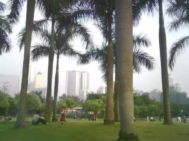 广州地铁景点最多的线路,广州地铁沿线有哪些好玩的