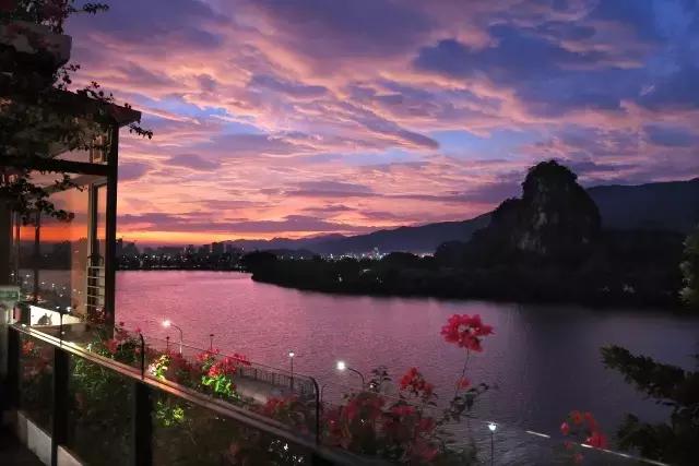 七星岩夏天的荷花图片,七星岩景区有荷花吗