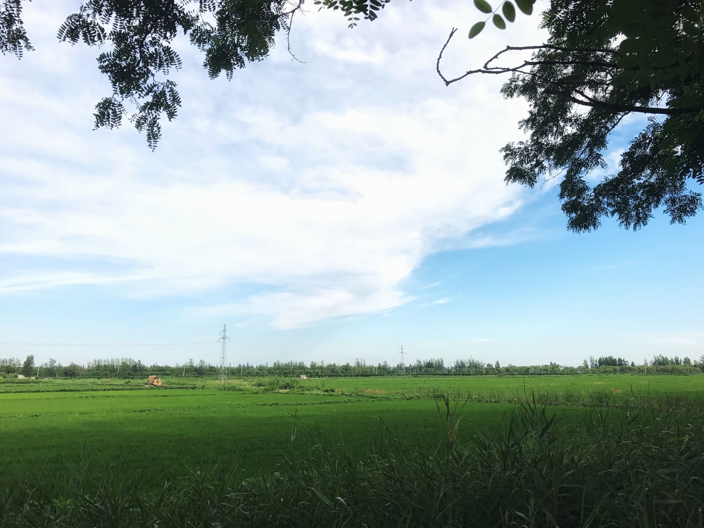 辽宁盘锦金宝度假村,盘锦欢喜岭度假村