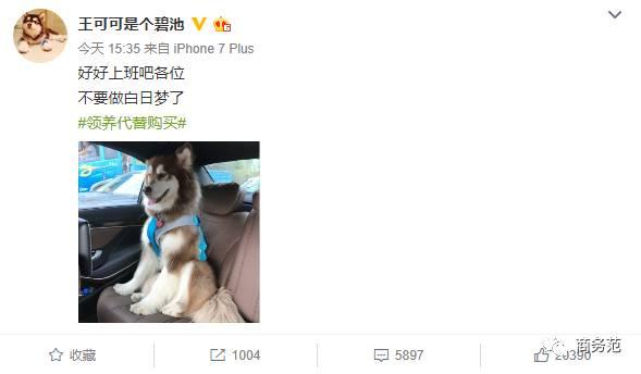 王思聪送王可可视频,王可可怎么遇到王思聪的