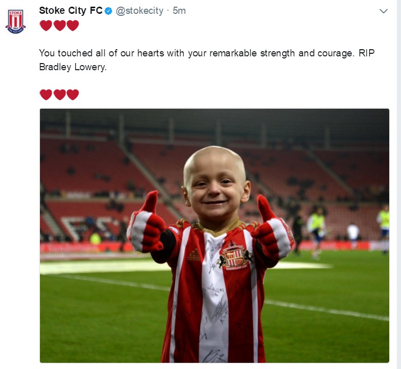 小布拉德利视频,小布拉德利最后的话