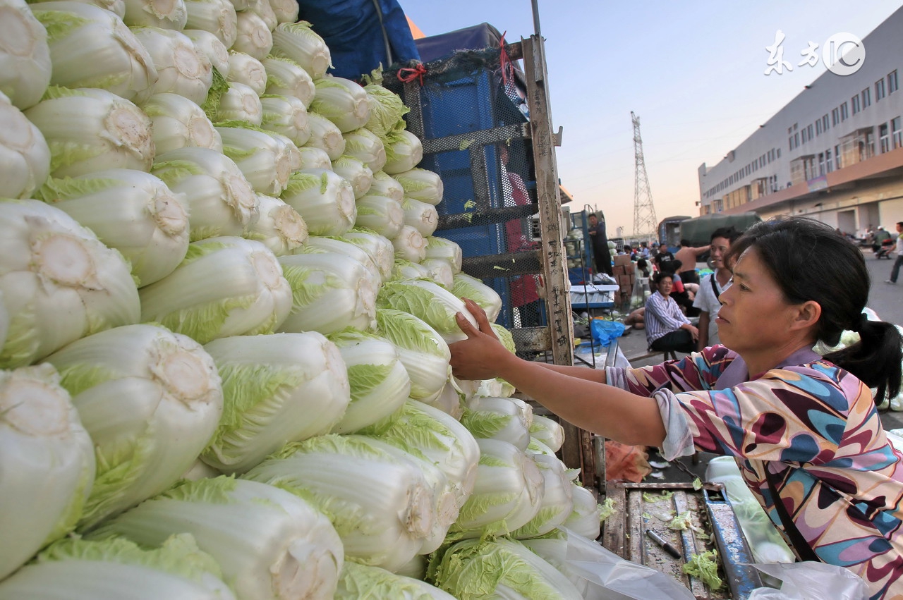 孕妇怀孕十月的食谱,孕妇营养食谱长胎不长肉