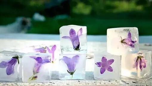 天气这么热，来做冰格吧~没有孩子不喜欢哦！