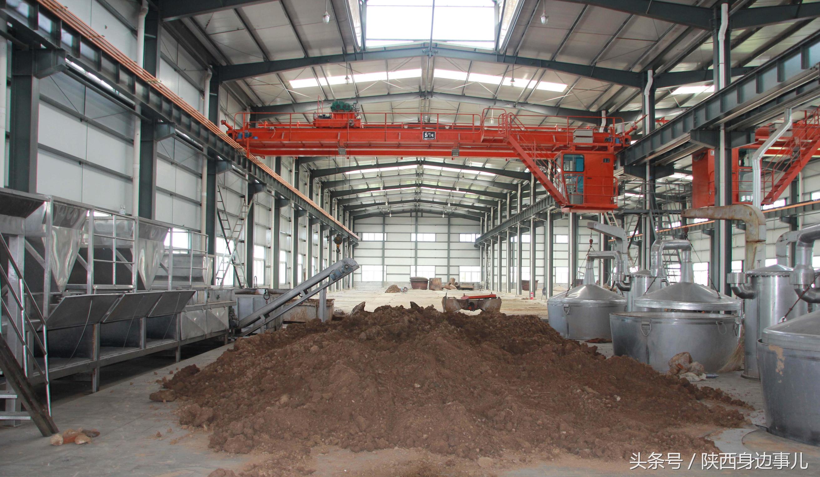 洋县秦洋长生酒业谢村黄酒,洋县秦洋长生酒业抖音号