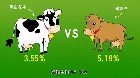 经常担心自己买到假奶粉,4招教你辨别假奶粉