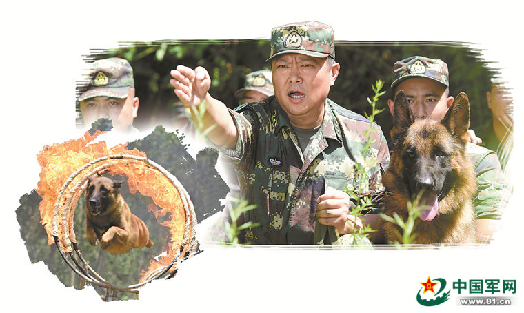 30年来，他繁育训练的“战狼”遍布火箭军阵地