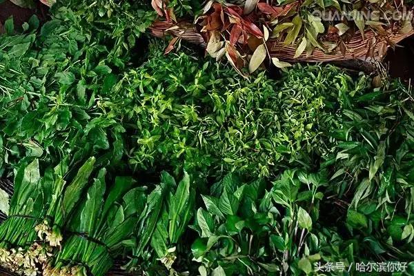 哈尔滨尚志要开挂了！如果三年后你还在尚志，将面对的竟是这些