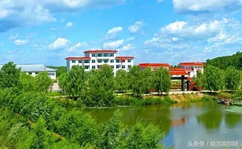 哈尔滨尚志要开挂了！如果三年后你还在尚志，将面对的竟是这些