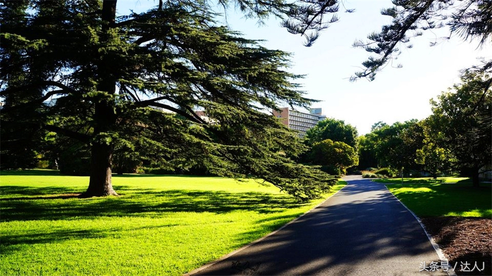 澳洲阿德莱德vs悉尼fc,阿德莱德对澳洲悉尼