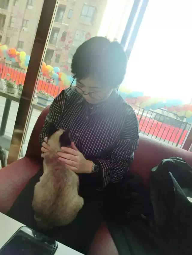 萌出血!九江这几家的撸猫店喊你来撸猫啦!美食与猫兼得!