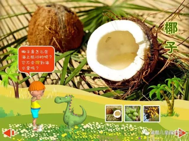 神奇的植物种子传播方法,我还知道哪些植物靠旅行传播种子