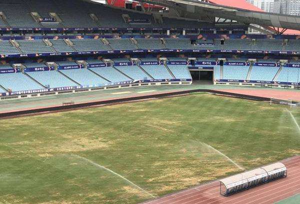 草地变耕地事件,草坪变菜地