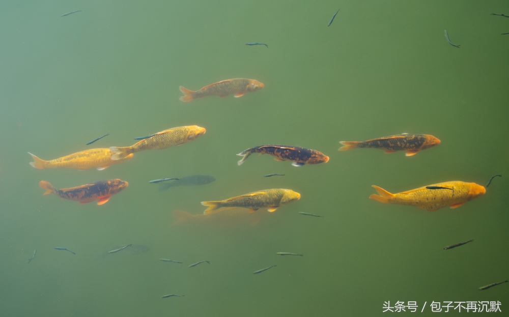 湖州旅游攻略自由行三天三夜,杭州苏州南浔四天三晚旅游攻略