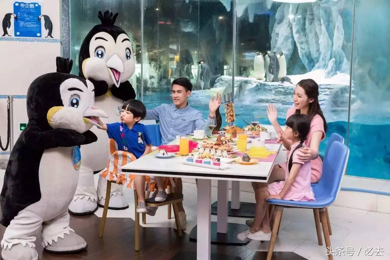 珠海到广州长隆游玩攻略,珠海长隆海洋王国寒假游玩攻略