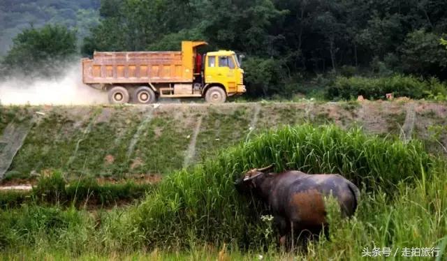 滁州游玩攻略潮玩街区,滁州最值得玩的地方