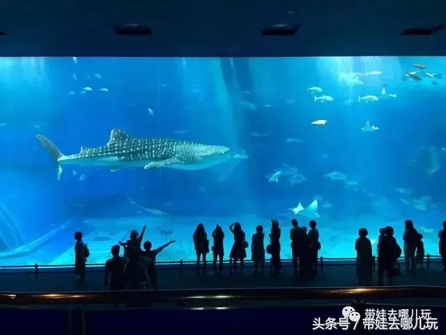 冲绳亲子游最强攻略,冲绳带娃旅游攻略