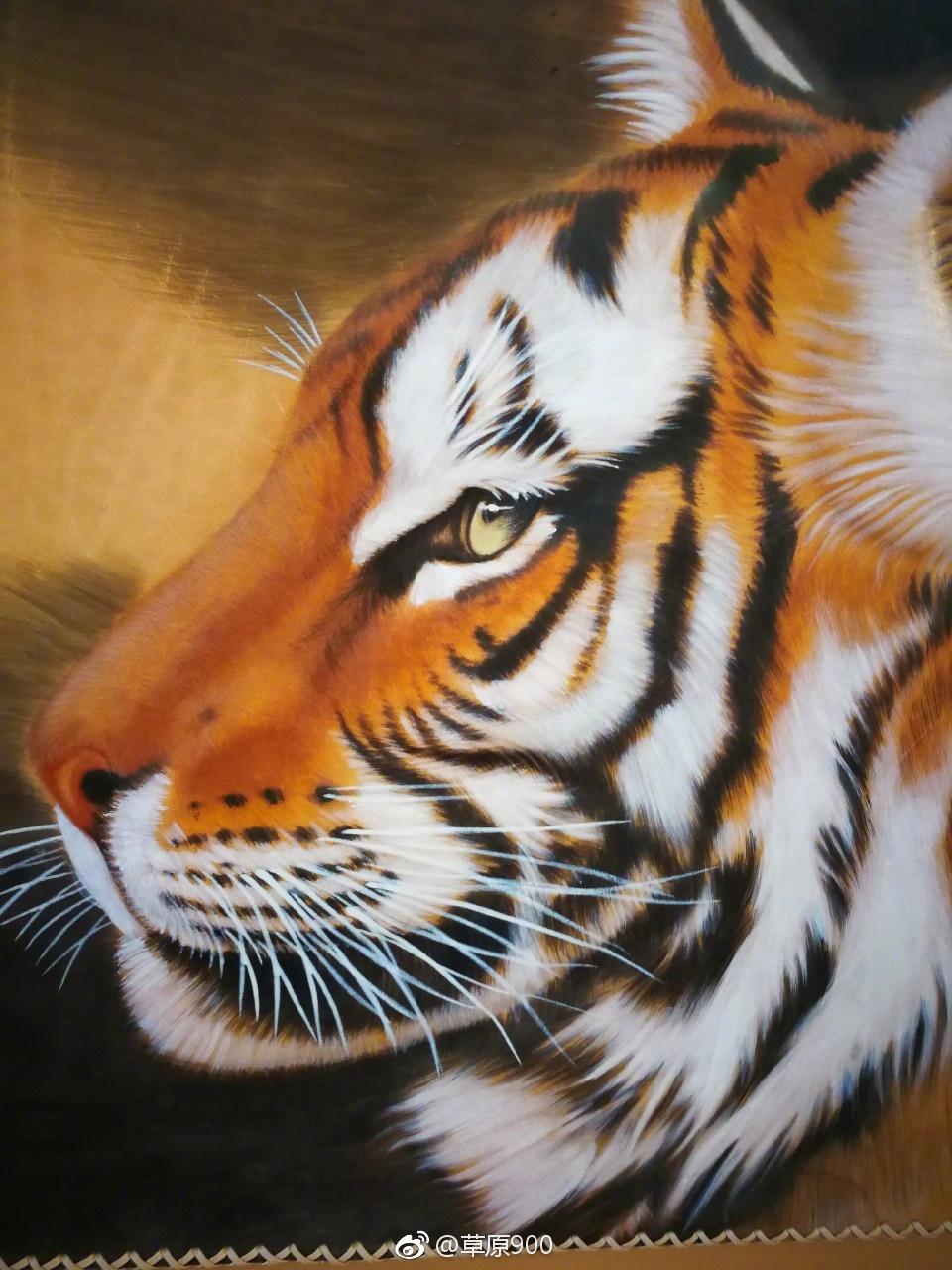 锡林郭勒草原星空,天堂草原锡林郭勒