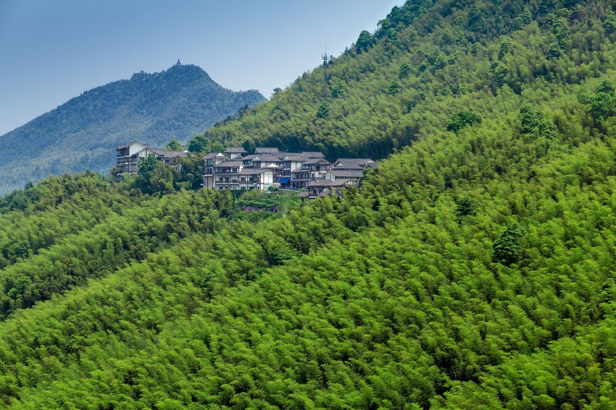 重庆各区必去的景点推荐,重庆的景点必游排名