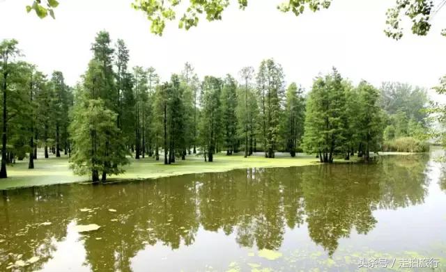 滁州有哪些地方可以下班去逛逛,滁州十大必去景点推荐