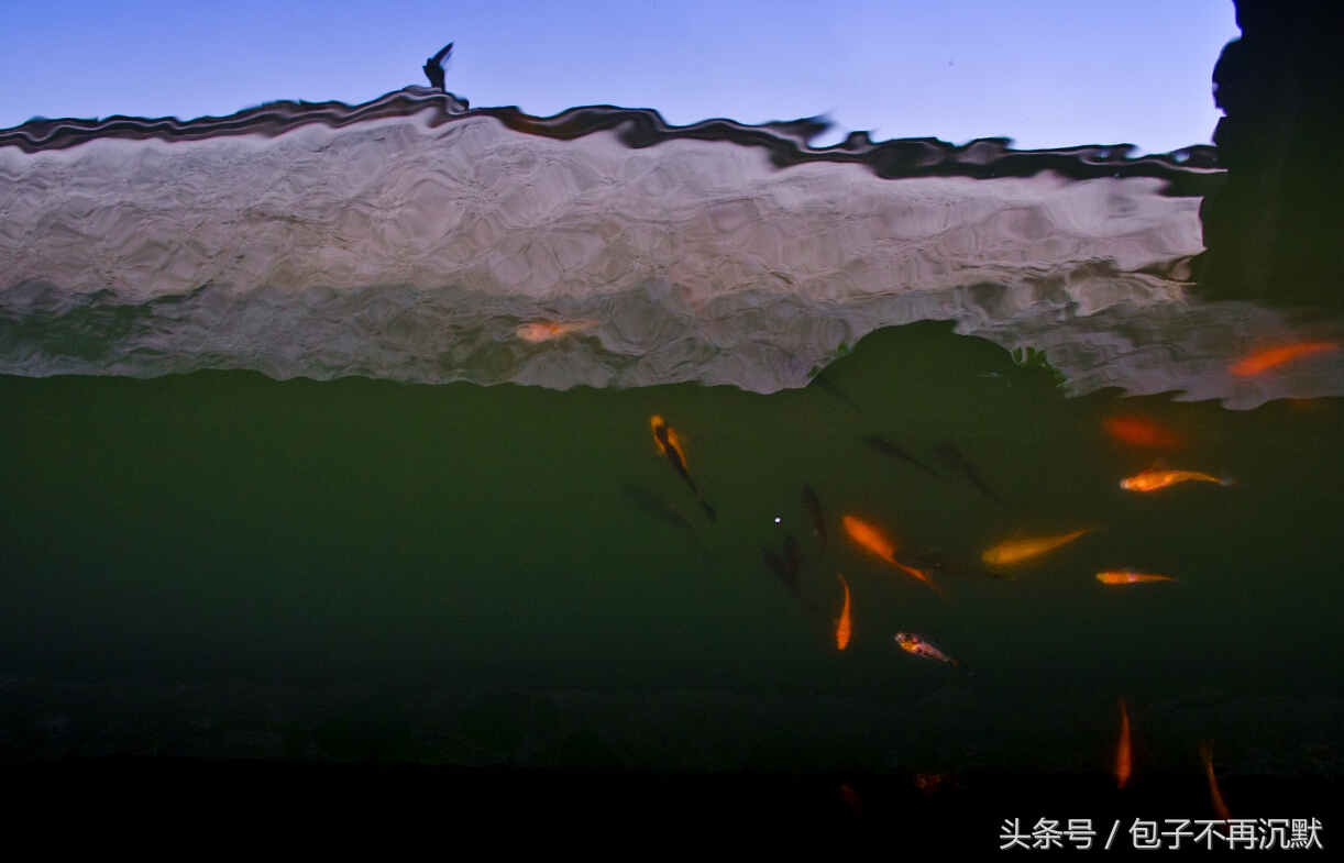 苏杭南浔旅游攻略,苏州南浔安吉五日游攻略