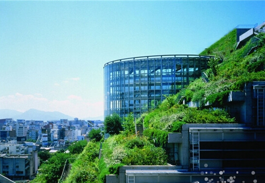 惊险高楼攀爬视频,最牛逼的楼顶花园