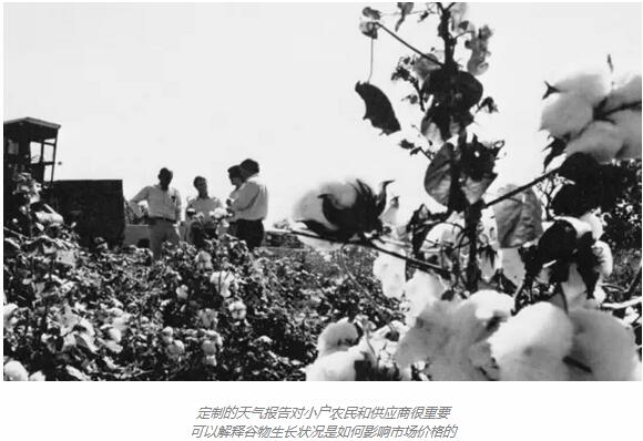 百年荣光：嘉吉自己告诉你他是怎样练就粮食巨头的