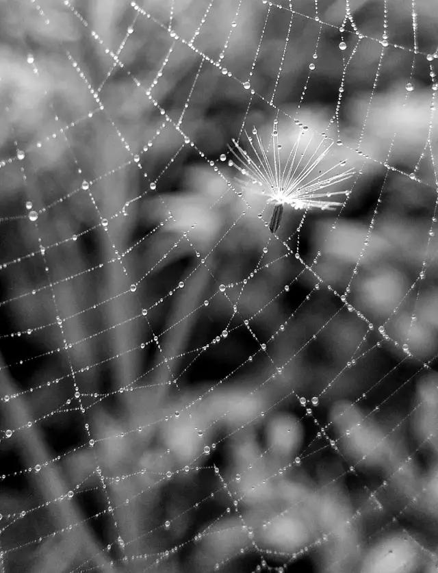 cmpa手机摄影欣赏,cmpa东莞坎普