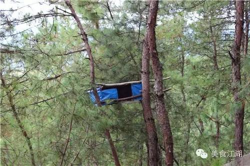 美食有一种情怀叫老味道,美食江湖情