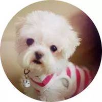 真皮包包为什么那么便宜,几百块钱的包包有真皮吗