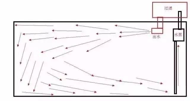鱼缸用虹吸吸便的效果怎么样,底滤鱼缸吸便能力差