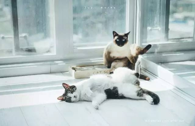 柔和舒适的房屋,小巧温馨舒适的房子