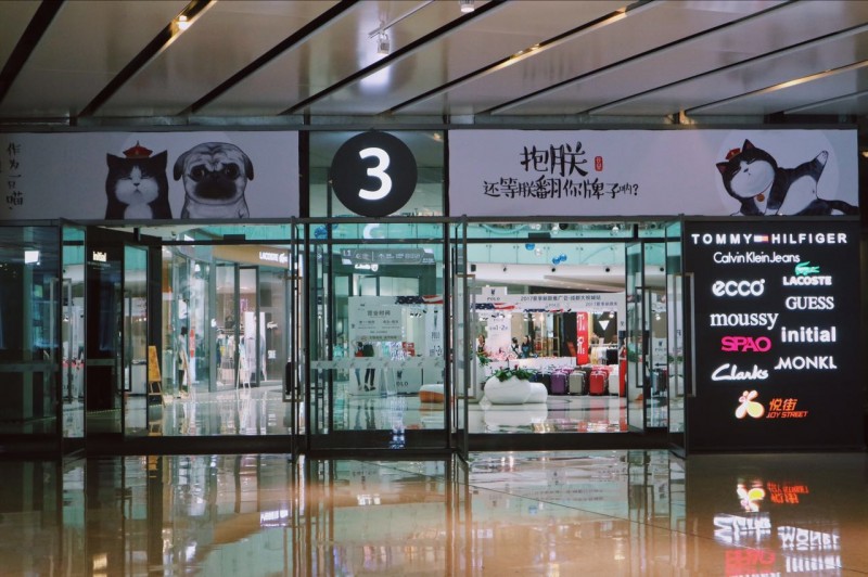 盘点十大网红萌宠,盘点全网6只网红萌宠