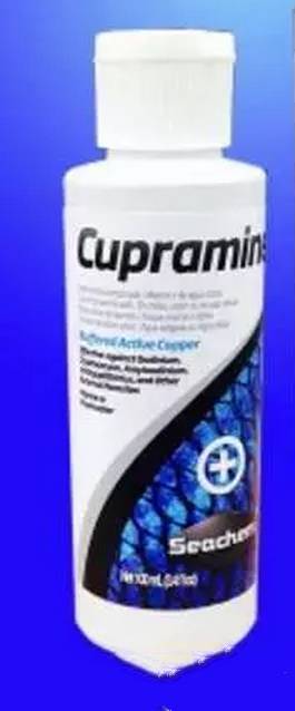 水质好的白点病自愈方法,白点病和水质有关吗