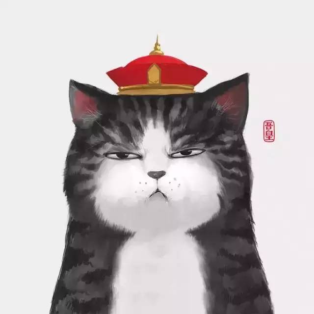 盘点十大网红萌宠,盘点全网6只网红萌宠