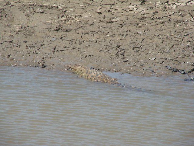 在斯里兰卡旅游必做的10件事,在斯里兰卡的难忘旅行经历