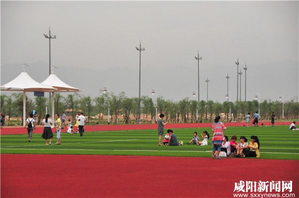 宝鸡花海公园最新视频,渭滨花海公园